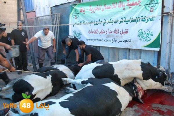 ada7y 116 n1 (3).JPG